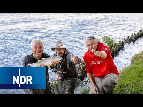 Mit Opas Angel an der Eider | Rute raus, der Spaß beginnt! | NDR