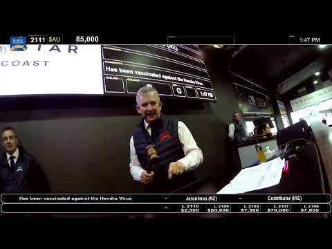 2021 Gold Coast National Yearling Sale - Day 3