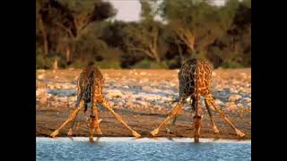 Download lagu 8ème partie du Pasteur Paul kalumba ex sataniste. mp3