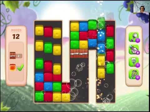 Vineyard Valley Level 213