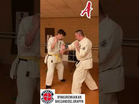 Byakuren karate Bassano Honbu. Combinazioni a media distanza #karate  #fullcontactkarate