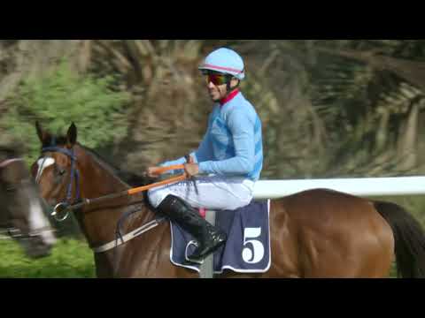 BAHRAIN INTERNATIONAL TROPHY 2022 | RACE 4