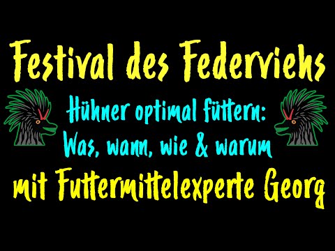 FdF 6 Hühner optimal füttern: Was wann wie & warum?