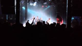 Yoguttene @ Blå -- Dino$aurer