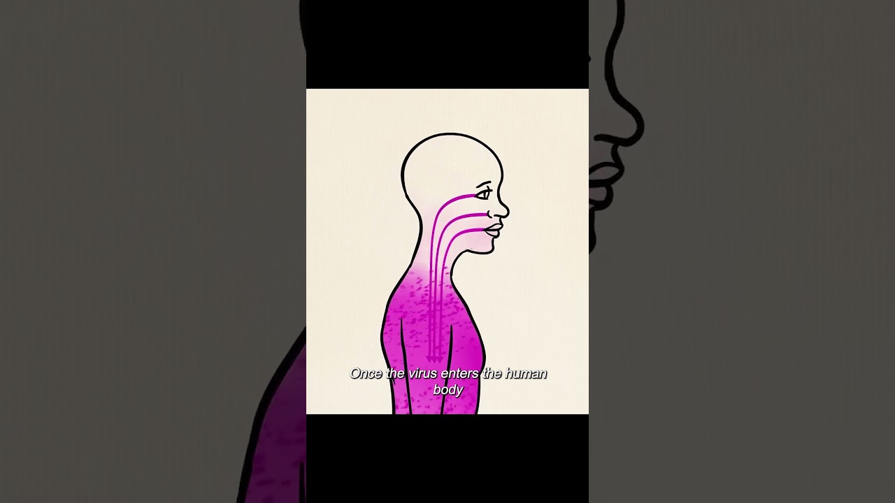 The Ebola story #movie #shortfilm #shorts