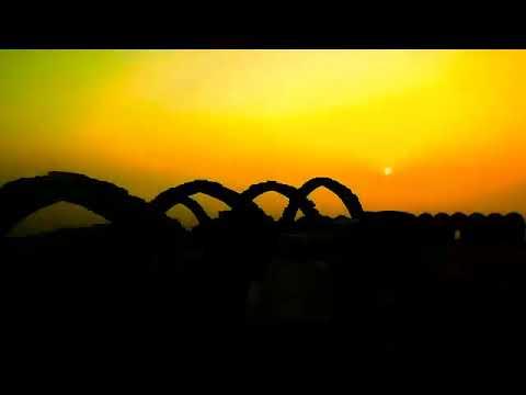 PP Foot Valve Thread End Foot Valve