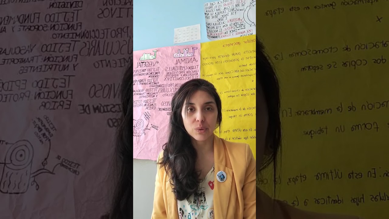 C P E S N°4 - RÍO TURBIO - SANTA CRUZ