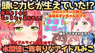 【そのうち怒られるかなぁ(２回言う)】しれっと話した話がやばすぎた!頭にカビが生えた事のあるアイドルみこが今週もすいちゃんのモノマネで大興奮なルイころ先生のスクイーズ話【さくらみこ／週末みこにゅ〜す】