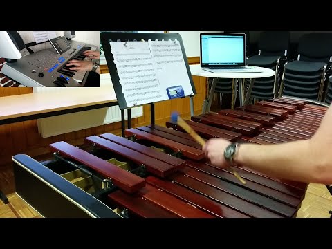 Ronan Hardiman's "Gypsy" Tyros 4 & Marimba Cover video thumbnail