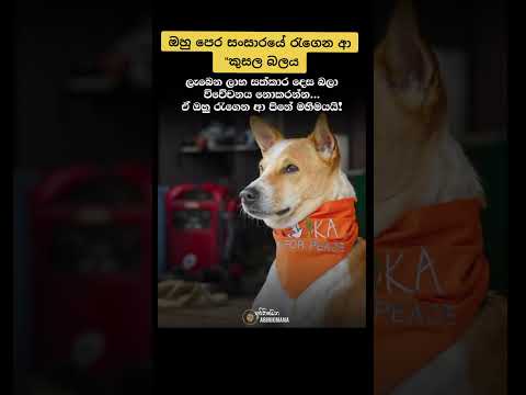 ඔහු පෙර සංසාරයේ රැගෙන ආ 