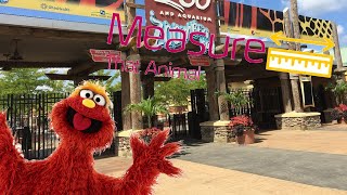 Sesame Street: Measure That Animal Gameplay