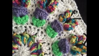 Crochet Butterfly Garden Octagon