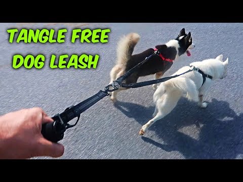YouTube video about: How to keep dog leash from tangling?