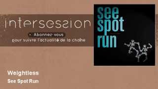 See Spot Run - Weightless