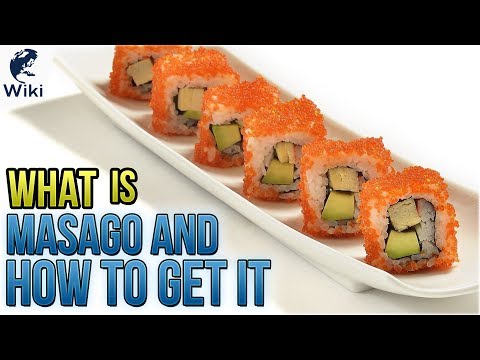 download lagu mp3 mp4 What Is Masago In Sushi, download lagu What Is Masago In Sushi gratis, unduh video klip What Is Masago In Sushi