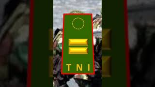 Download lagu TNI OFFICER RANKS ORDER mp3