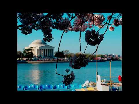 New Washington DC Blooming