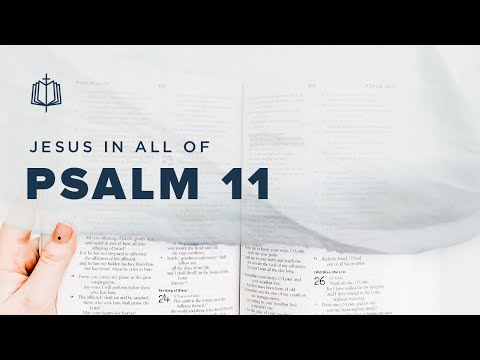 Psalm 11 | Why Do You Hide Yourself? | Bible Study