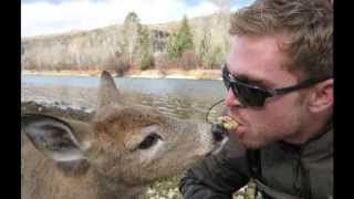 Animals and Wildlife with Michael E Music