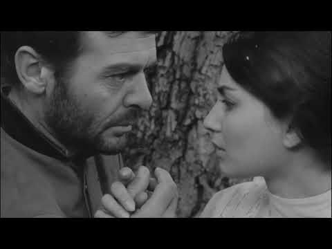 Трейлер фільму «Крадій персиків»
