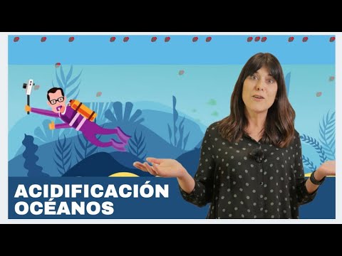 Vídeo: A acidificación dos océanos