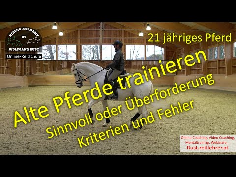 F83 Old or stiff horses: Stress, training, tips & facts. Muscle building in older horses