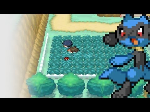 Krasses Lets Play Pokemon Schwarze Edition 2 [German] #008 Hilfe, Verfolgungswahn!