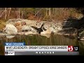 Drought Exposes Deadly Dangers At Huntington Gorge