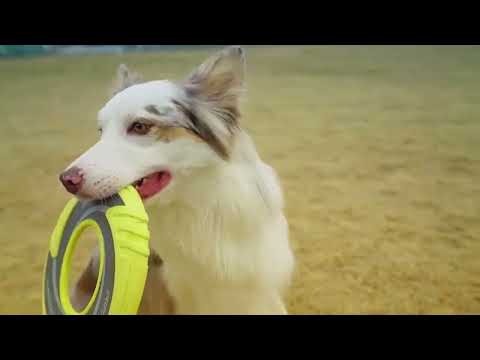 SkipDawg DuroFlex Disc