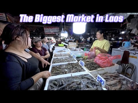 Shopping at the biggest market in Laos / buying big seafood 