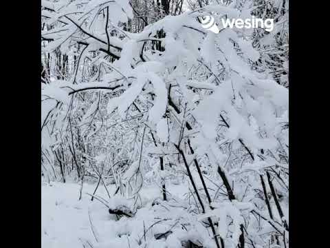 Videoclip de Winter Wonderland (Remastered 2007) — Amy Grant