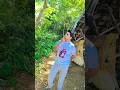 Udi Udi Ame Bimanre Jiba Trending Odia Song Youtube Shorts Trending Now Song Shortfeed
