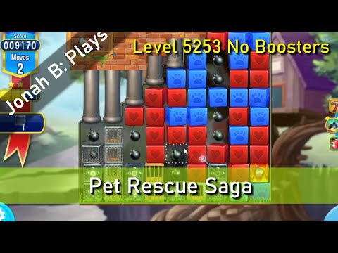 Pet Rescue Saga Level 5253 No Boosters