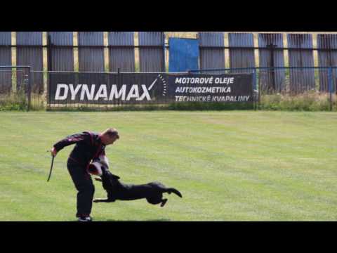 Postupovky Detva 2017