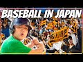 Why You Have to Watch BASEBALL in JAPAN 🇯🇵