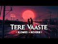 Tere Vaaste Falak Se Mai Chand Launga Slowed Reverb Slowed Song Hind