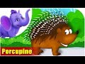 Porcupine Rhymes, Porcupine Animal Rhymes Videos for Children