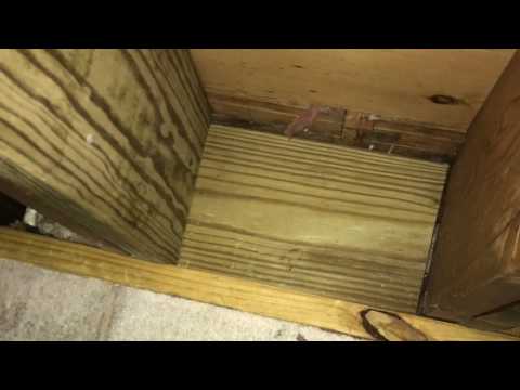 Into A St. Charles, KY Crawlspace