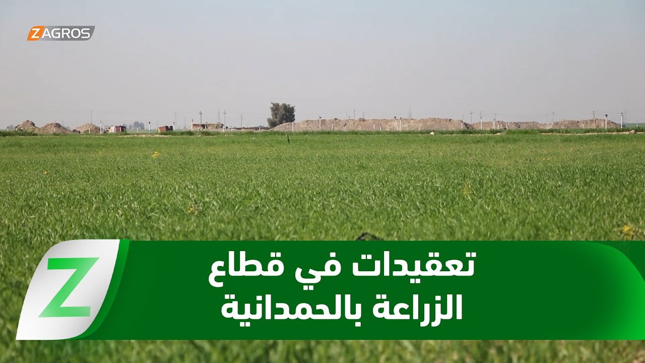 فيديو | #نينوى.. مزارعو قضاء الحمدانية يواجهون موسم الزراعة بتعقيدات بيروقراطية وروتين مرهق