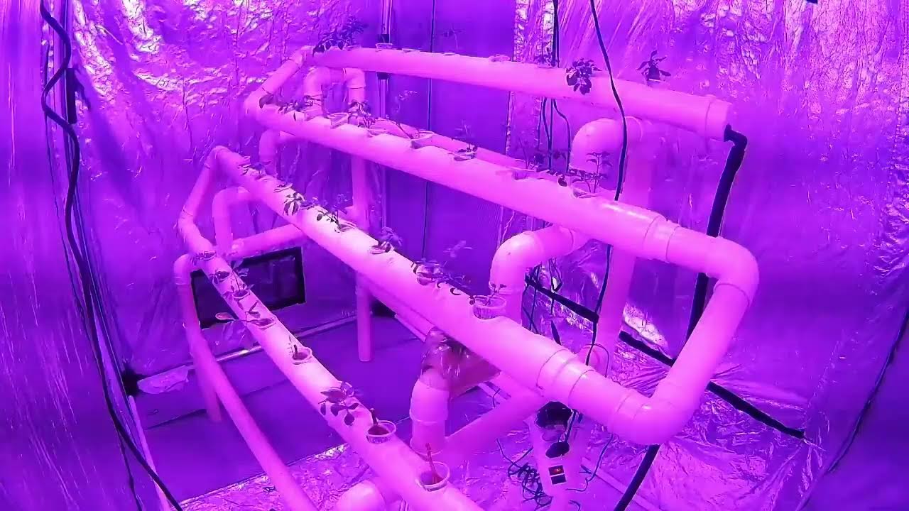 Hortas automatizadas iluminadas com LED.