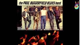 Paul Butterfield Blues Band  Shake Your Money Maker