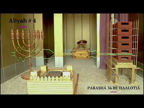 LECTURA DEL PARASHA #36 BE´HAALOTJÁ | “Cuando hagas subir” NÚMEROS 8:1 - 12:16