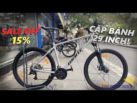 Rincón Gigante 29 2022 |