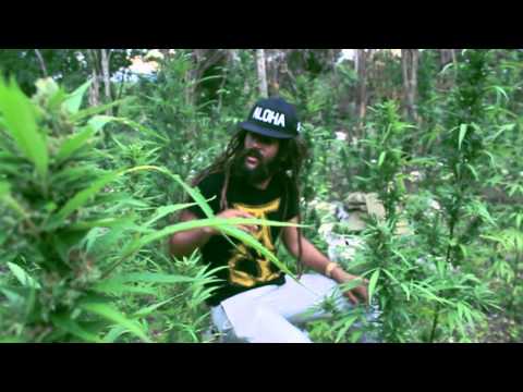 Alex Marley - Let It Grow