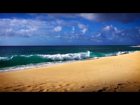 Relax! Ocean Waves Seaside Ambience | for Stress Relief | White Noise Surf Sounds in Hawaii 10 Hours