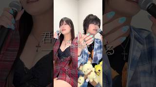 33歳男性が一人二役で らぶしっく の「すとーきんぐ♡LOVE」歌ってみた結果www #shorts