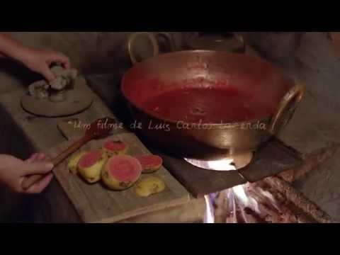 Introdução à música do sangue - Trailer