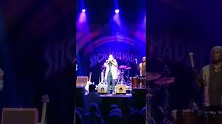 showaddywaddy - 24.6.23