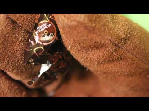 FERRERO RONDNOIR Comparison