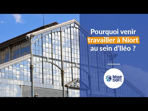 Travailler à Niort et dans sa région, le cas Iléo !